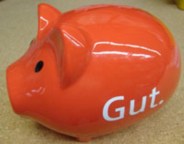 Sparschwein / Porzellanschwein mit Slogan: „Gut.“, 20 cm