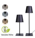 Tischleuchte VARIO mit S-Veredelung auf dem Fuß


(Lampe)